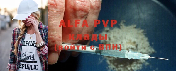 мдпв Краснослободск