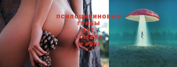 PSILOCYBIN Лабытнанги