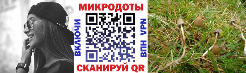 Купить где  Сольцы  Псилоцибиновые грибы мухоморы 
